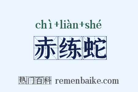 赤练蛇是什么意思的图片